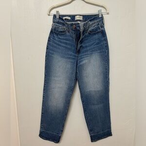 Universal Threads Blue Vintage Straight Jeans